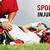 what sport has the most injuries 2019