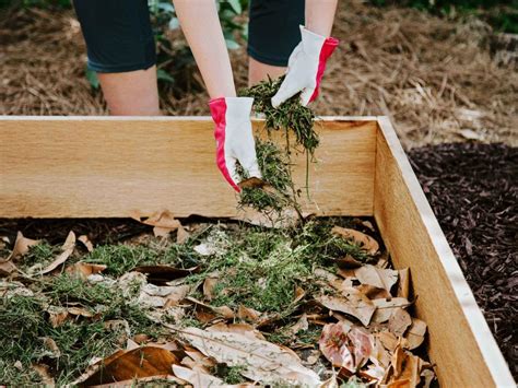 How to Fill a Raised Garden Bed Build the Perfect Organic Soil