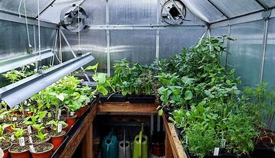 What To Grow In A Small Greenhouse For Beginners