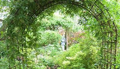 What To Grow Over A Garden Arch