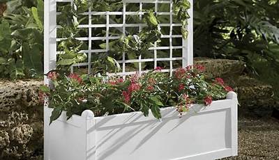 What To Plant In A Planter With Trellis