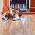 what type of wood flooring is best for dogs