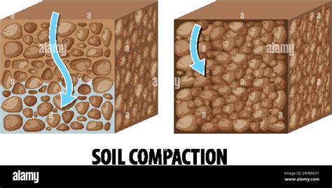 What's A Compaction In Science