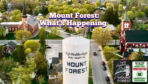 what's happening mount forest