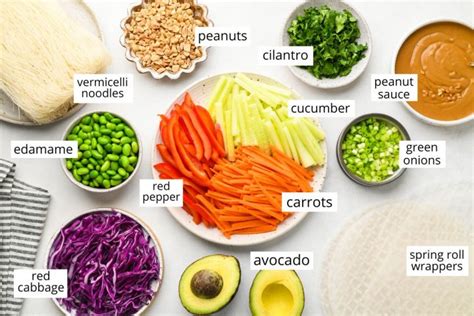 Easy Chicken Spring Rolls चिकन स्प्रिंग रोल्स Recipe Ranveer Brar