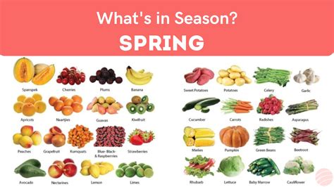 Spring ” The King of Seasons “ I Love Travelling and