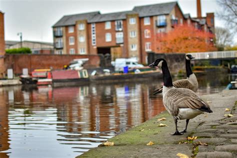 what's on in ashton under lyne