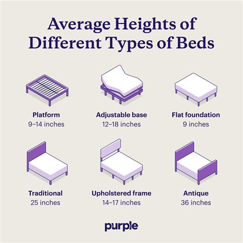 What's The Average Bed Height