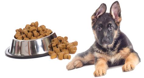 what's the best dog food for german shepherds