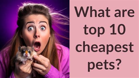 What's The Cheapest Pet To Have