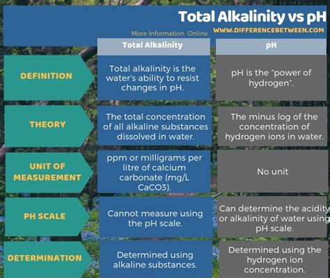 What's The Difference Between Alkalinity And Ph In A Pool