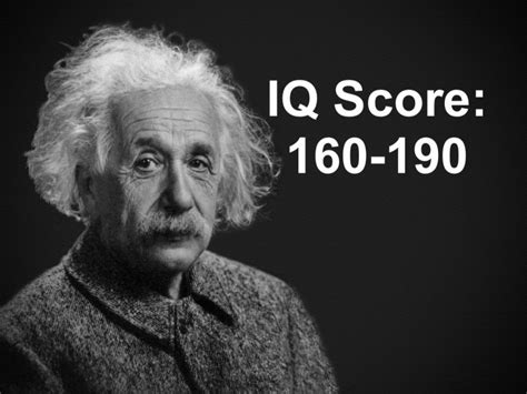 what's the highest iq anybody's ever had