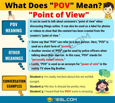 what's the meaning of pov