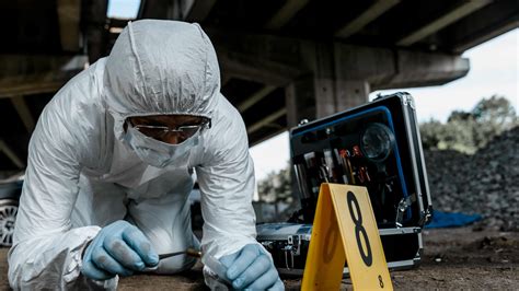 what a forensic scientist does