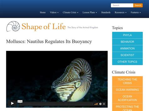 nautilus cephalopod Britannica
