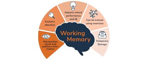 what affects working memory