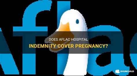 what aflac plan covers pregnancy