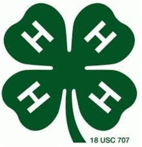 what age does 4-h start