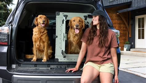 What Age Stop Crating Dog