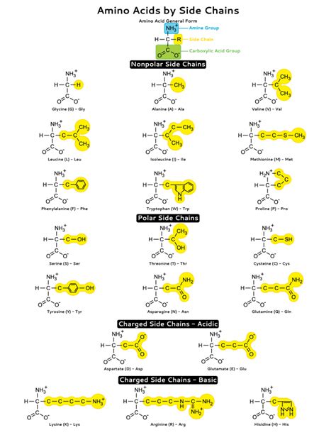 what amino acids have chiral side chains