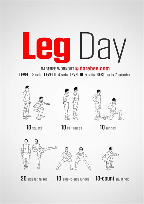 what are 3 examples of leg exercises