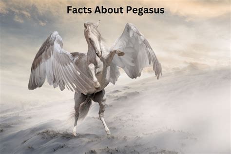 what are 5 facts about pegasus