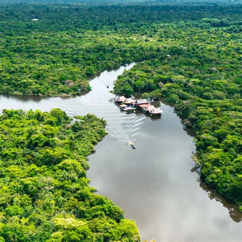 What Are Amazon Holidays