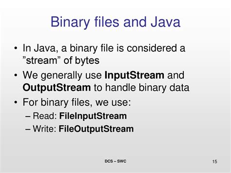 What Are Binary Files In Java
