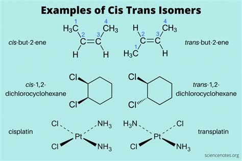 what are cis and trans isomers class 11