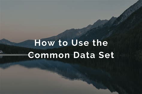 What Are Common Examples Of Data