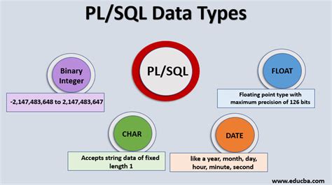 what are data types in pl sql explain with examples