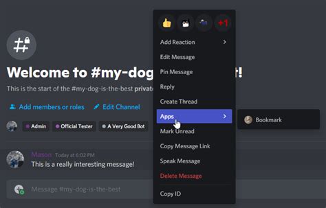 what are discord application commands