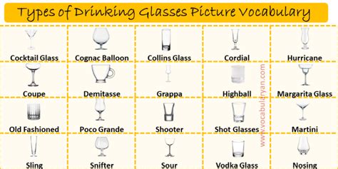 What Are Drinking Glasses Called