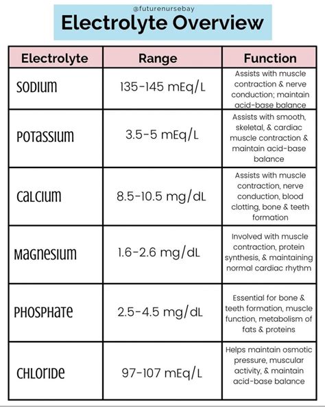What Are Electrolyte Labs
