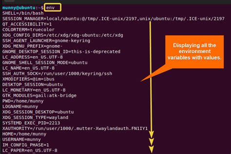 what are env variables in linux
