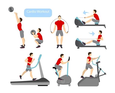 What Are Examples Of Cardiovascular Exercises