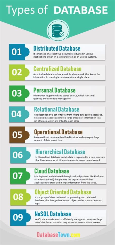 what are examples of data types used in databases