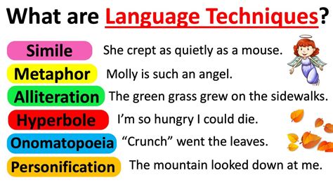 what are examples of language techniques
