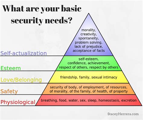 what are examples of security needs