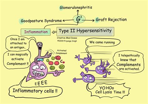 what are examples of type 2 hypersensitivity