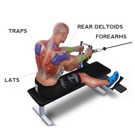 What Are Feeder Exercises