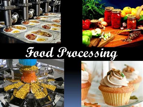 What Are Food Processing Techniques