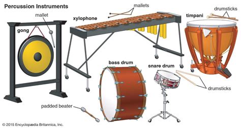 What Are Four Percussion Instruments