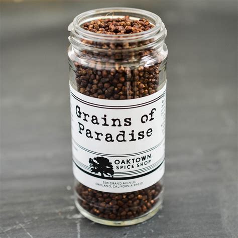 what are grains of paradise spice