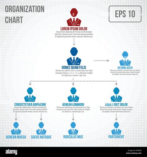 what are hierarchy