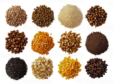 What Are Highly Processed Grains