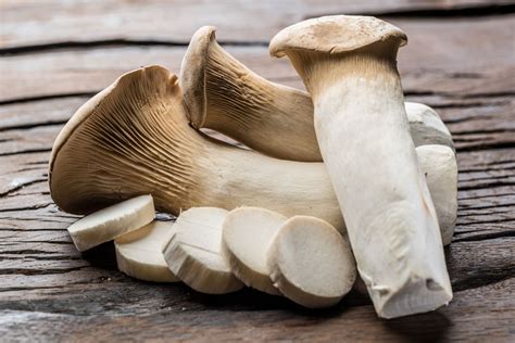 what are king trumpet mushrooms