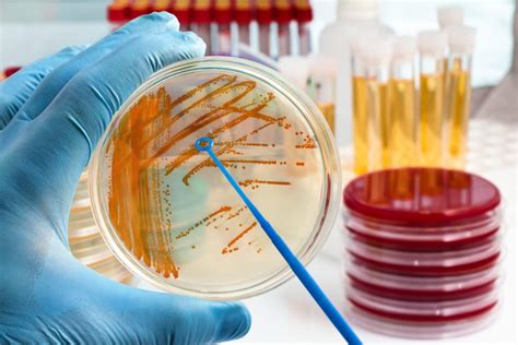 what are microbiological testing methods