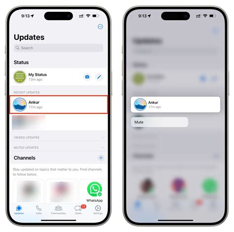 What Are Muted Updates