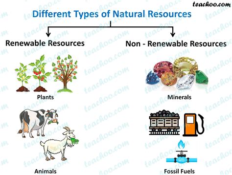 what are natural resources explain with examples class 9